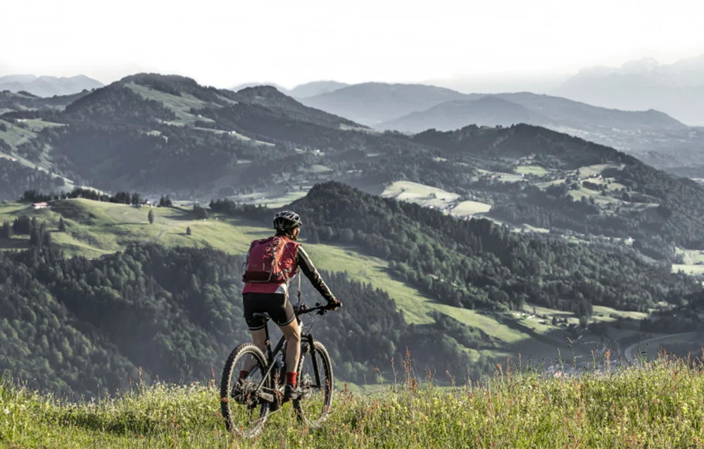 Baterija za električno kolo Green Cell - 48V, 14,5Ah